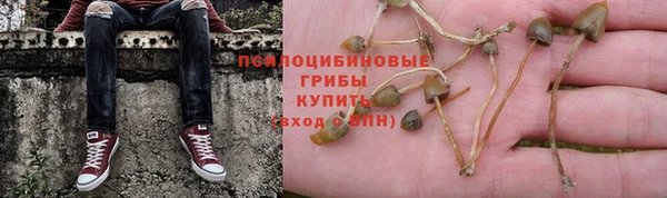альфа пвп Магас