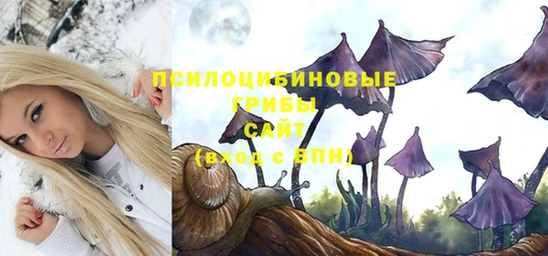 спиды Майский