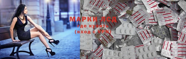 спиды Майский