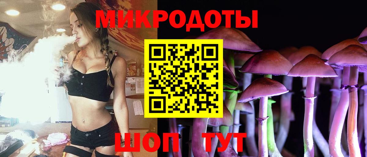 Псилоцибиновые грибы Psilocybe  Вход с VPN  Галлюциногенные грибы мицелий  Торжок 