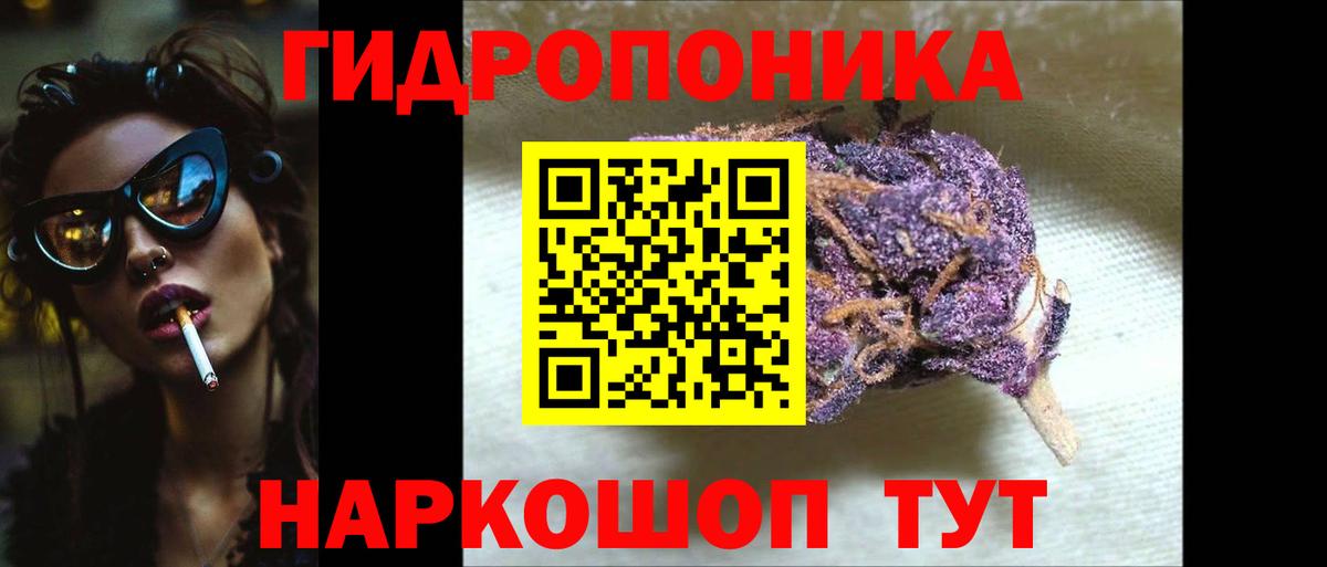 Канабис планчик Торжок